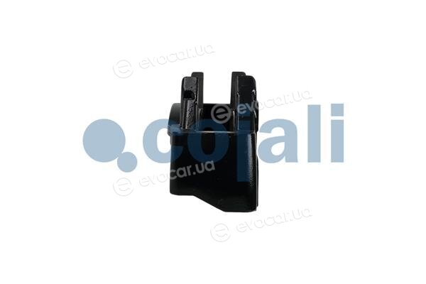 Cojali 6084060
