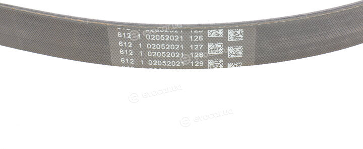 Continental 5PK868 ELAST
