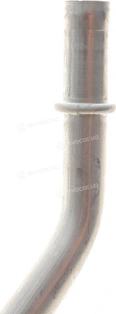 AIC 55969