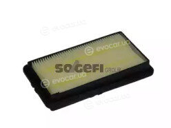 Coopers Fiaam PA7212