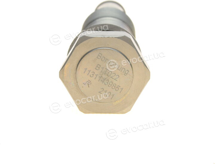 Borsehung B10215