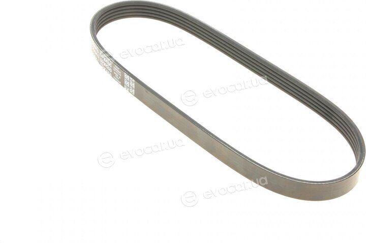 Dayco 5PK650