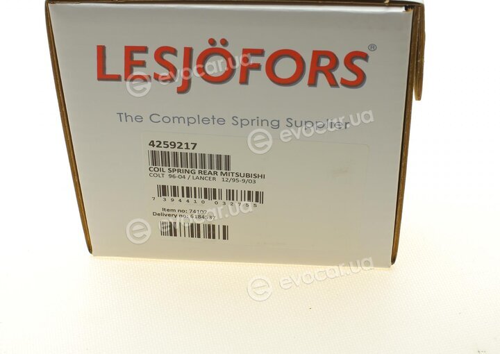 Lesjofors 4259217