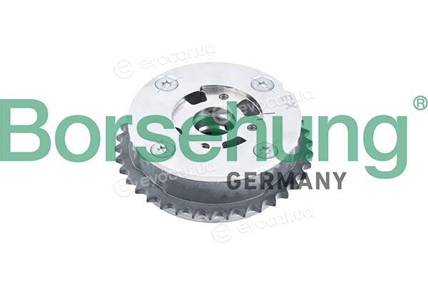 Borsehung B12993
