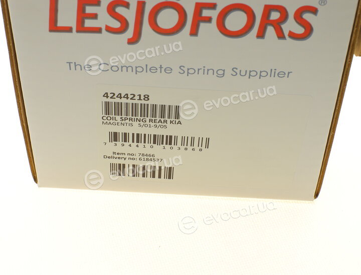 Lesjofors 4244218