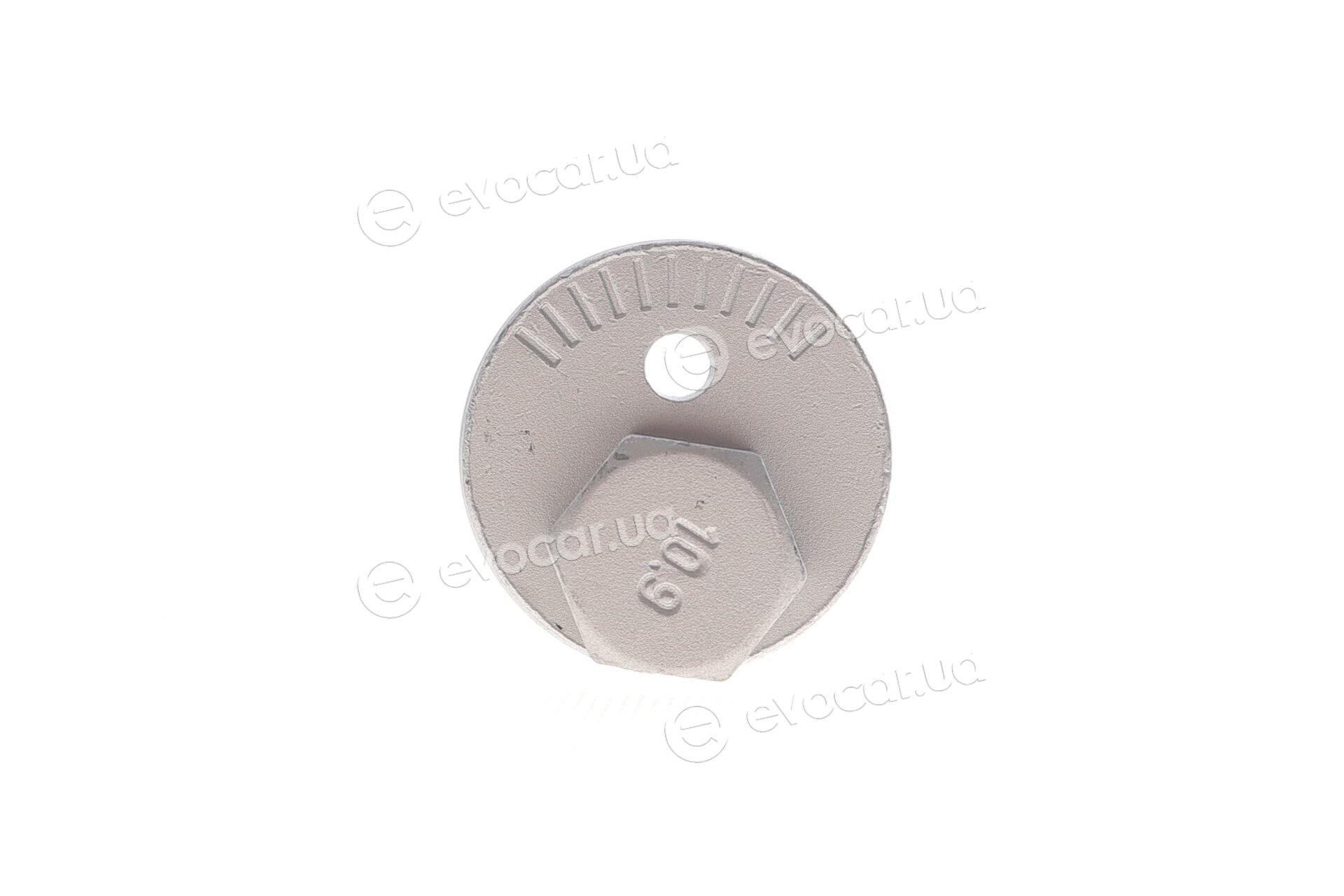 Solgy 204259