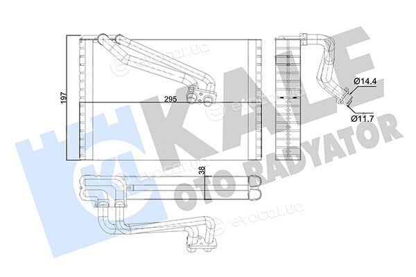 Kale 352975