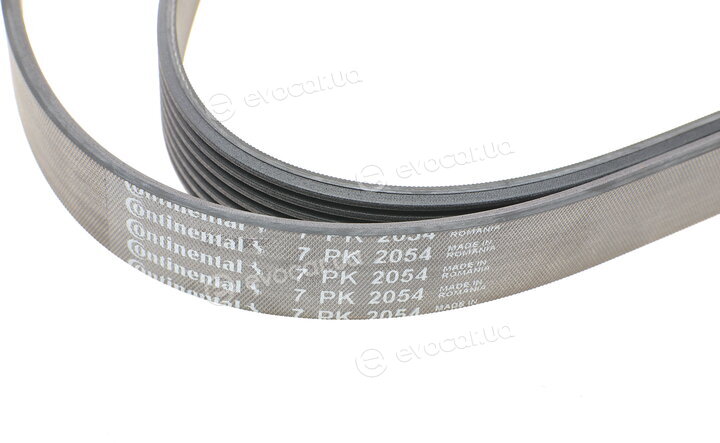 Continental 7PK2054