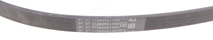 Continental 4PK916 ELAST