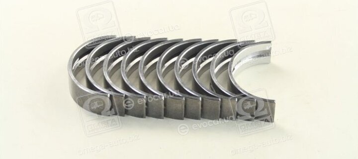 Mahle 029 HS 10038 025