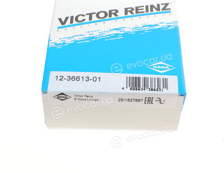 Victor Reinz 12-36613-01