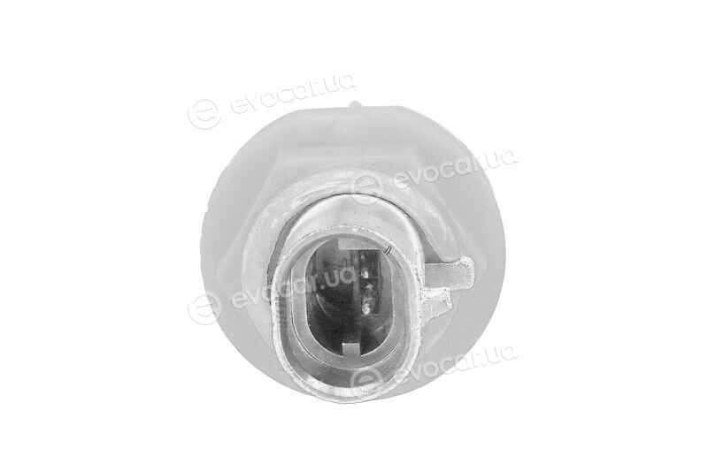 Mopar (PSA / FCA) 4800878