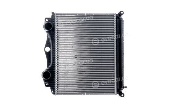 Mahle CI 119 000P