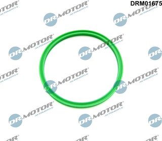Dr. Motor DRM01675