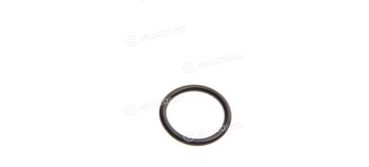 Van Wezel 58006201