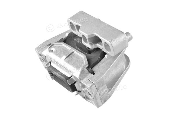 Tedgum TED82685