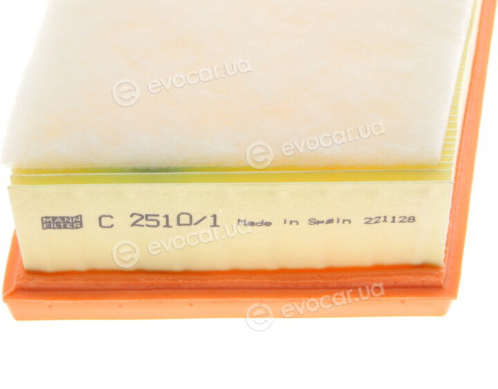 Mann C 25 101