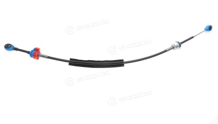 Solgy 119019