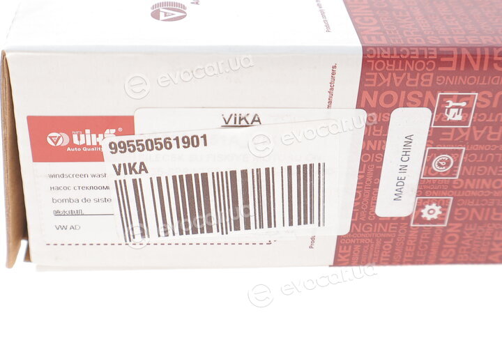 Vika 99550561901