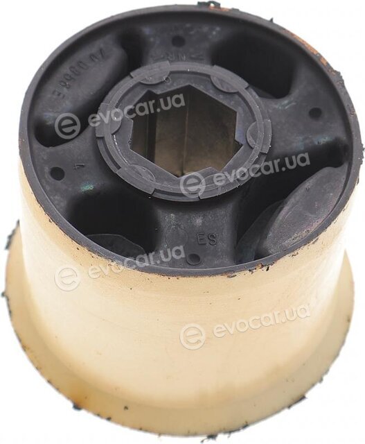 Hutchinson 590021