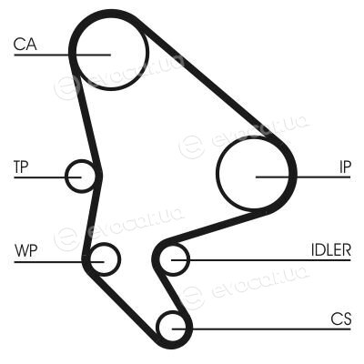 Continental CT1063K2