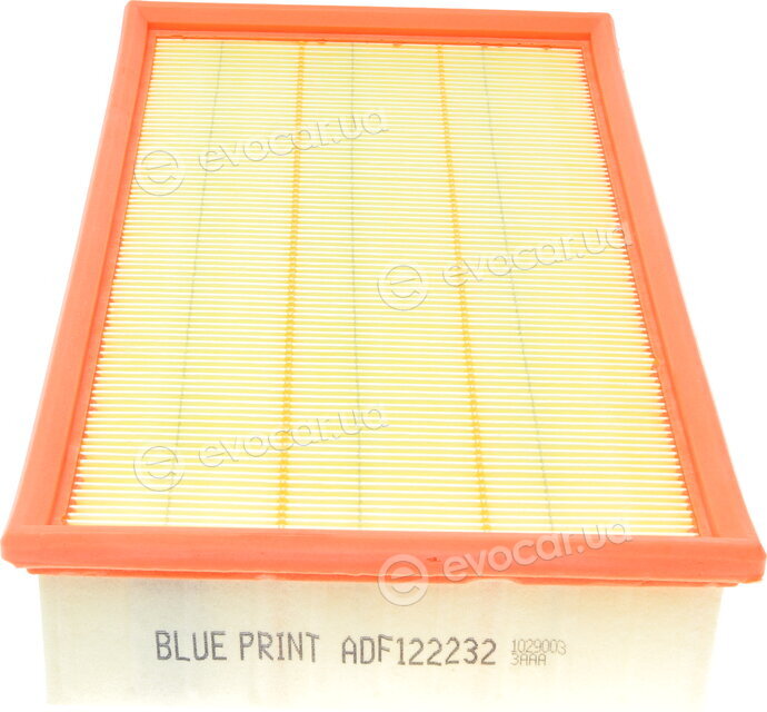 Blue Print ADF122232