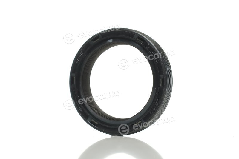 Elring 523.650