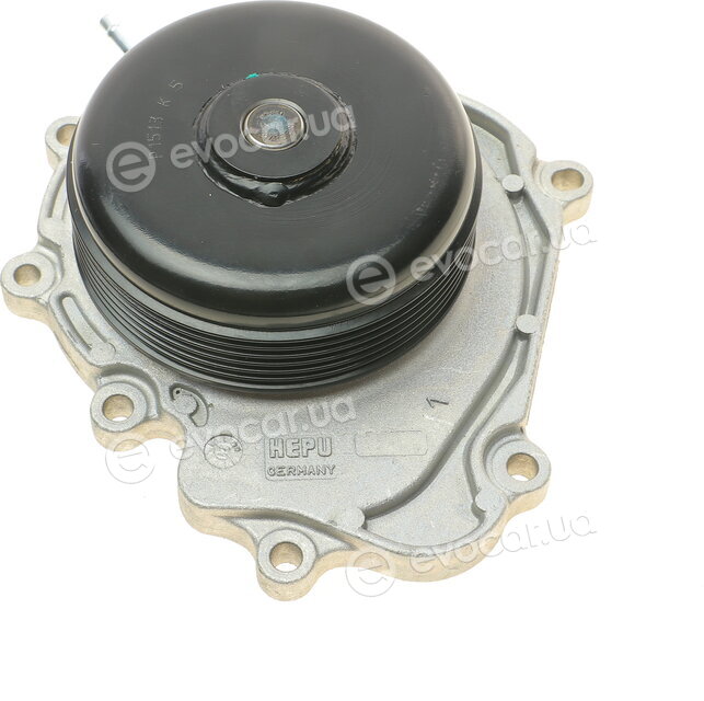 Hepu P1513