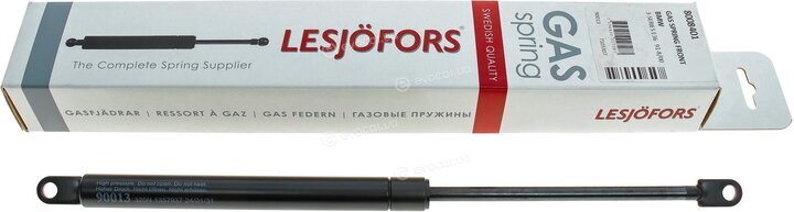 Lesjofors 8008401