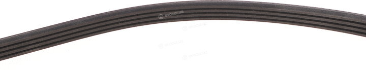 Dayco 4PK872