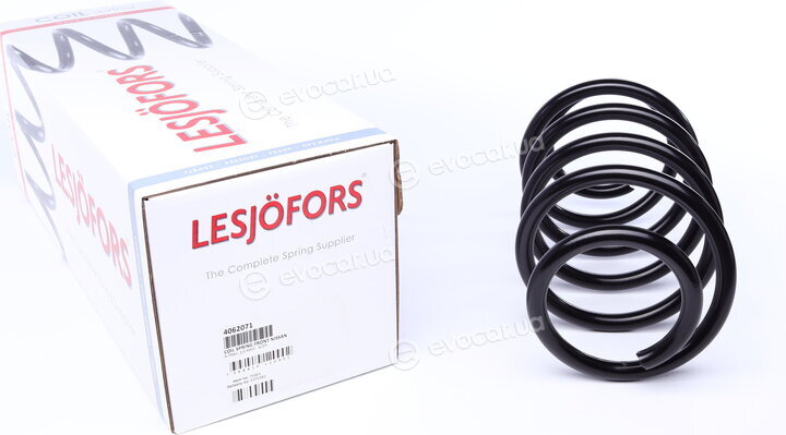 Lesjofors 4062071