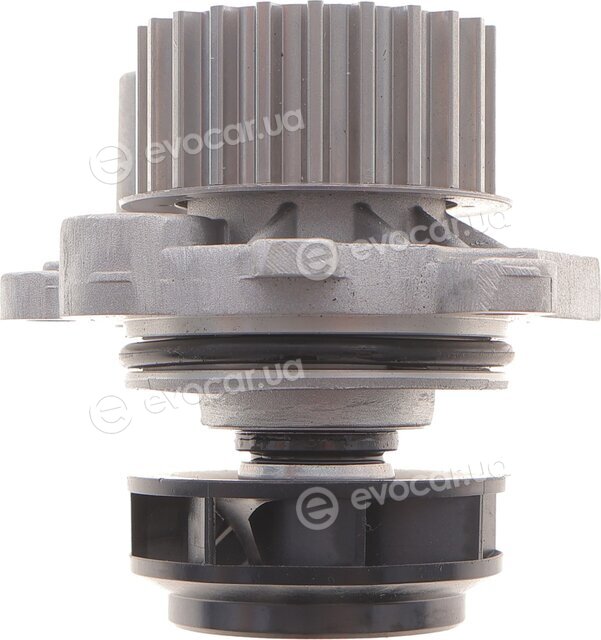 Dayco KTBWP2532