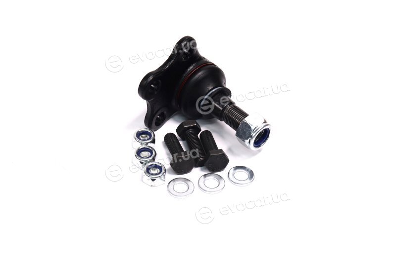 Sasic 4005278
