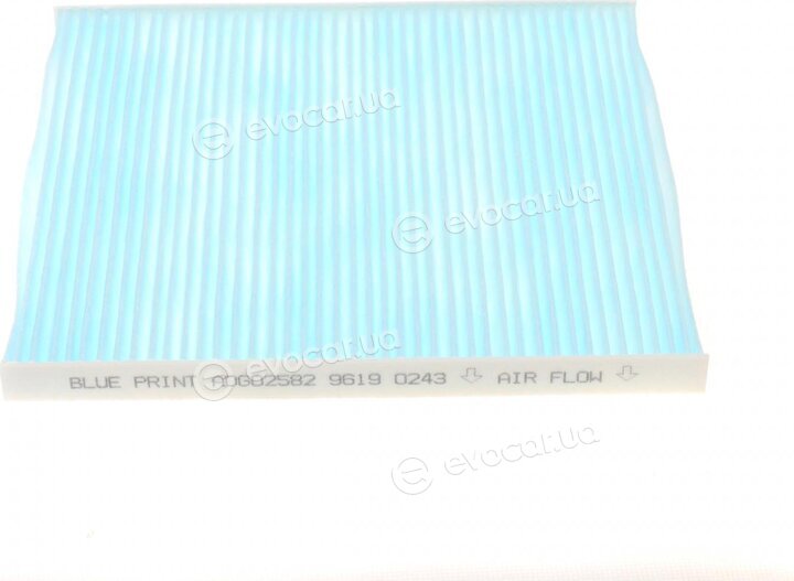 Blue Print ADG02582