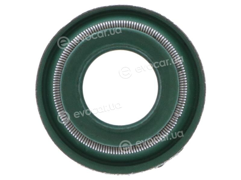 Starline GA 6516