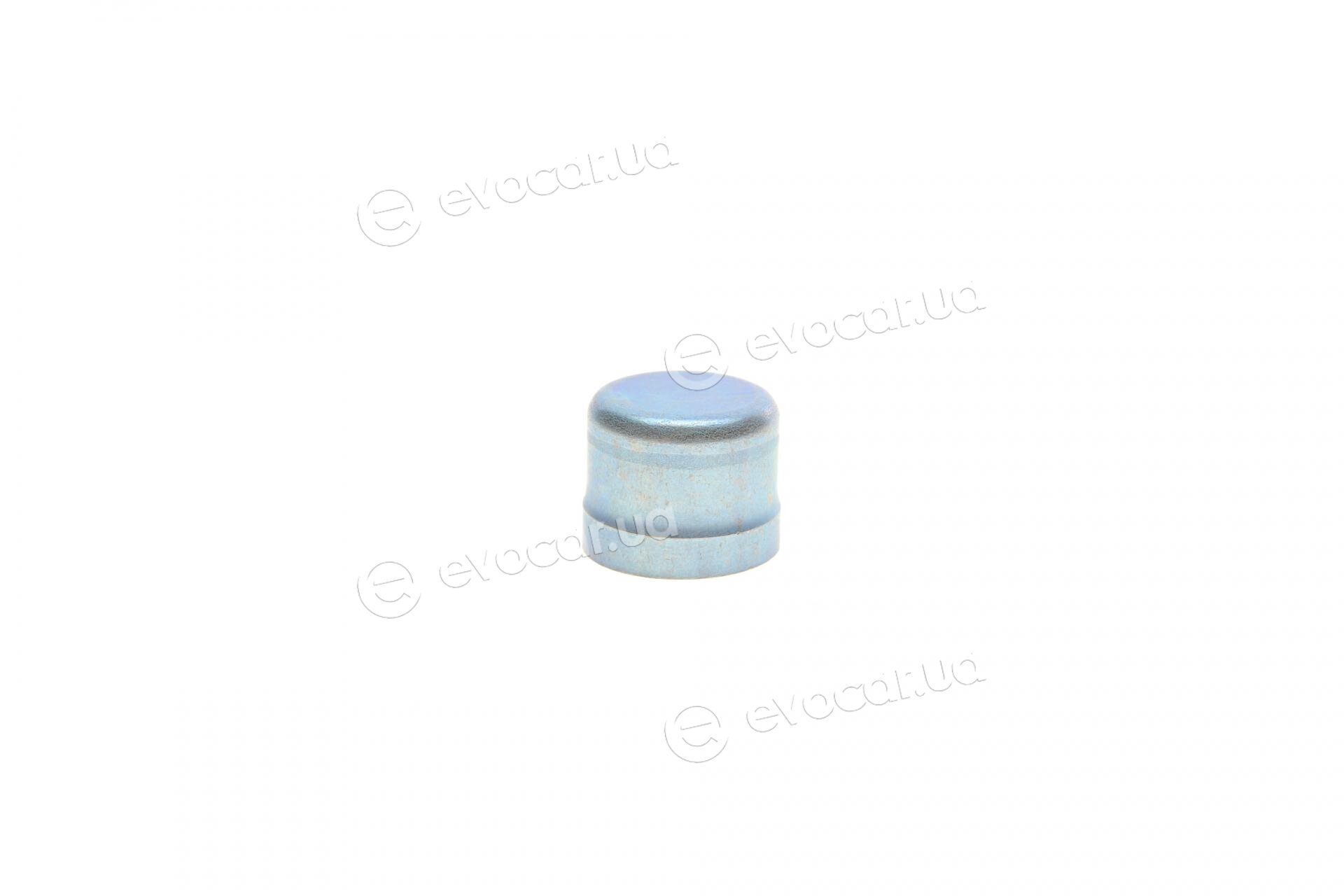 Dayco KTBWP5171