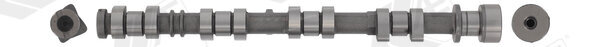 AE CAM1079