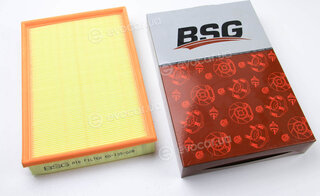 BSG BSG 65-135-008