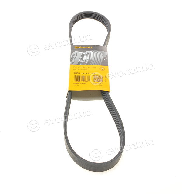 Continental 6PK1019 ELAST
