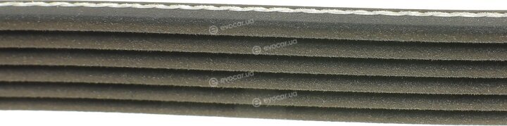 Dayco 6PK1558