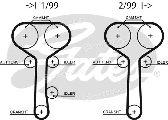 Gates K035508XS