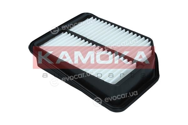 Kamoka F249901