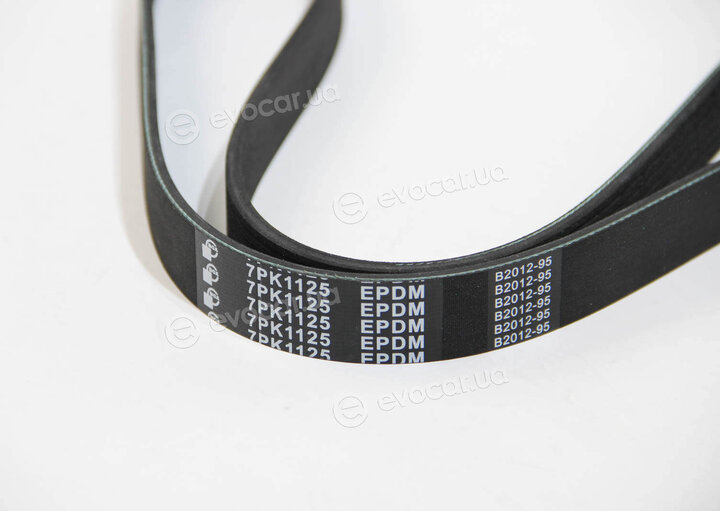 BGA 7PK1125