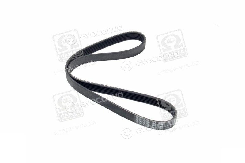 Dayco 6PK1005
