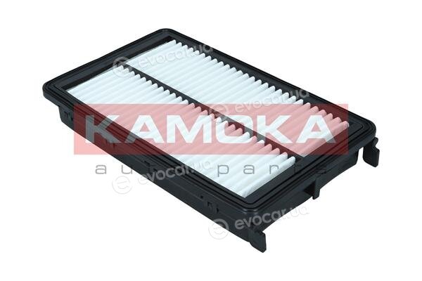 Kamoka F251901