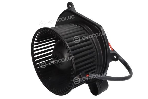 Thermotec DDY007TT