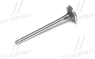 Gunes 5644
