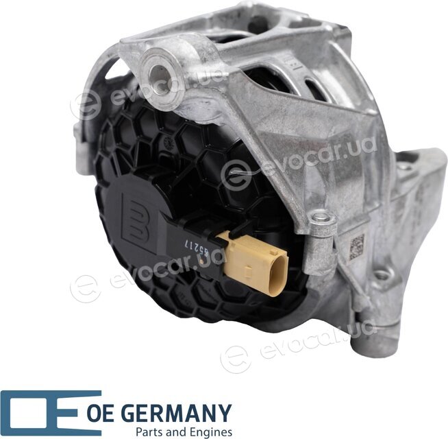 OE Germany 800552