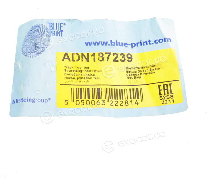 Blue Print ADN187239