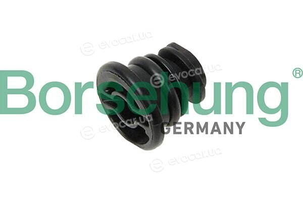 Borsehung B12929